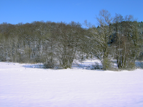 Gäsbach